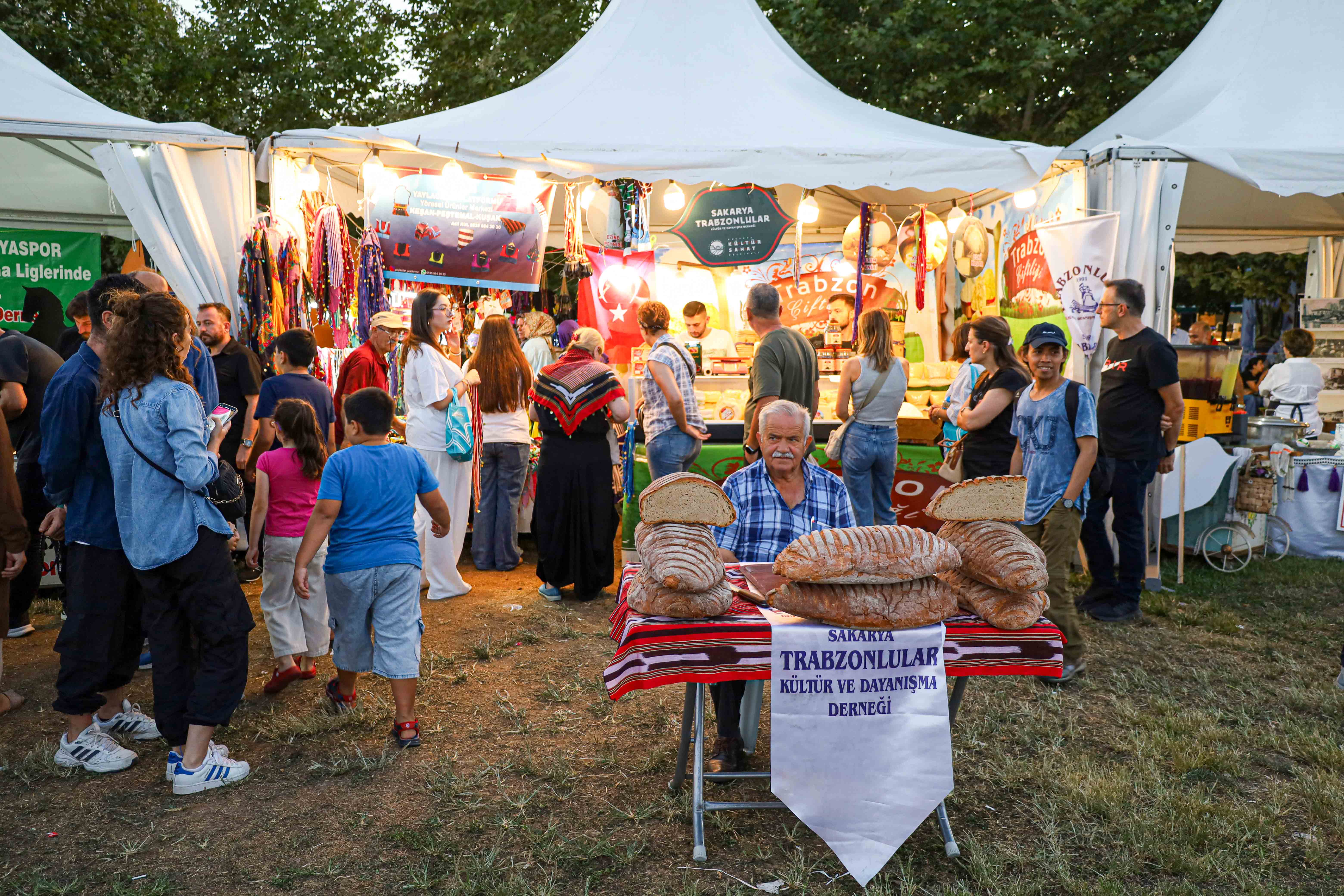 Kültür ve Sanat Festivali